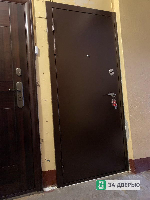 Двери в Невском районе - снаружи