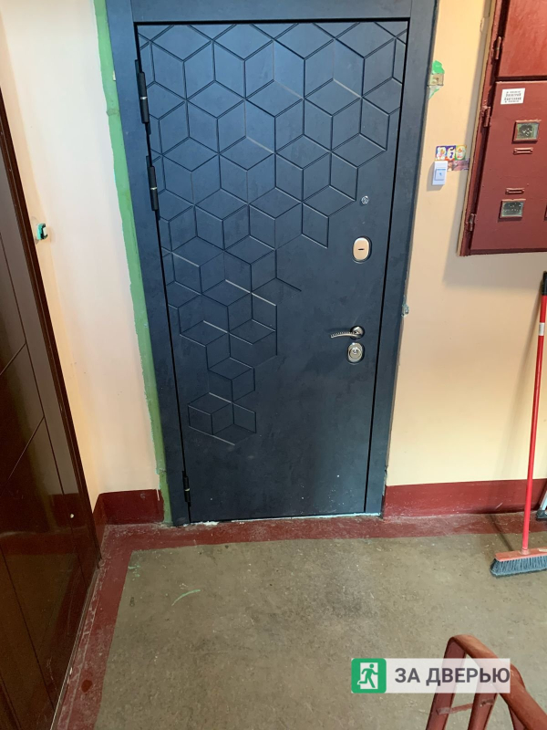 Металлические двери в Колпино - снаружи