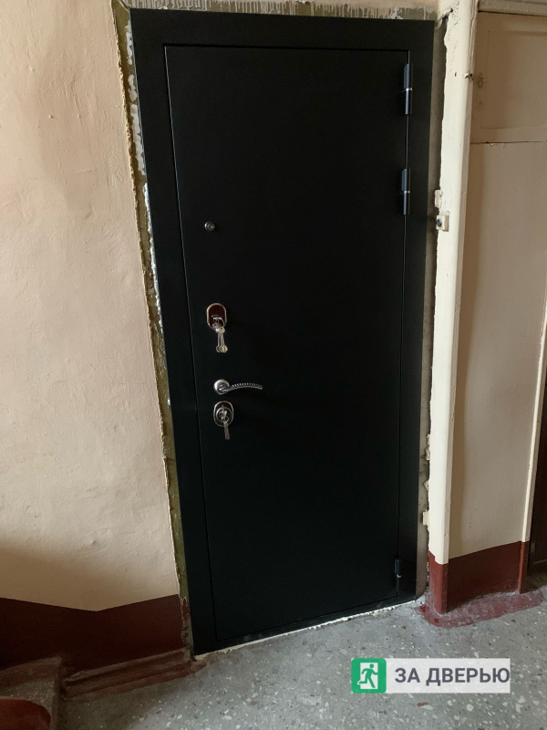 Двери в Выборгском районе - снаружи