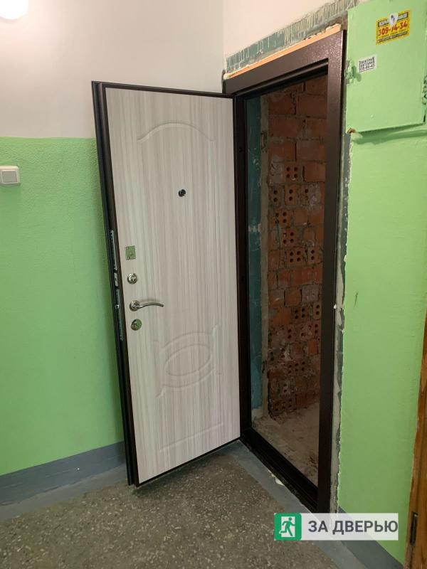 Металлические двери в Пушкине - снаружи открыта