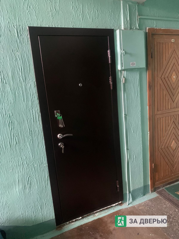 Металлические двери в Пушкине - снаружи