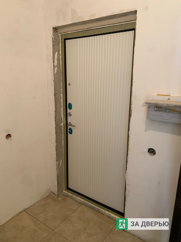Металлические двери в Шушарах - внутри