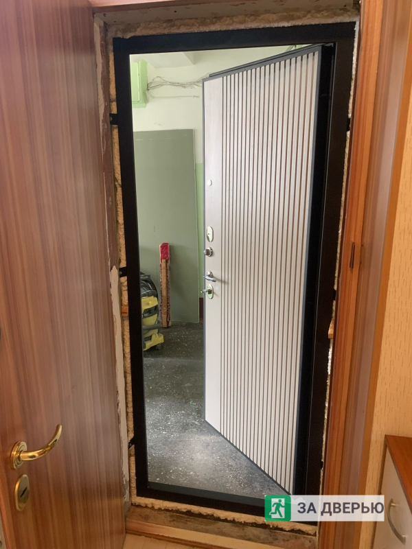 Металлические двери в Павловске - внутри открыта