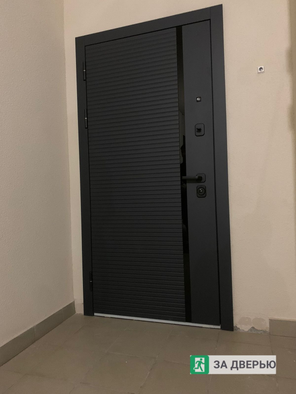 Двери в Мурино входные металлические - снаружи 2