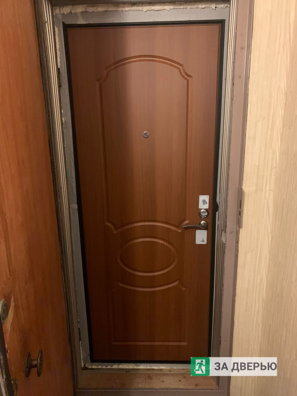 Двери во Фрунзенском районе - внутри