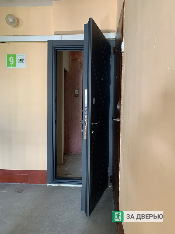 Двери в Выборгском районе - снаружи открыта