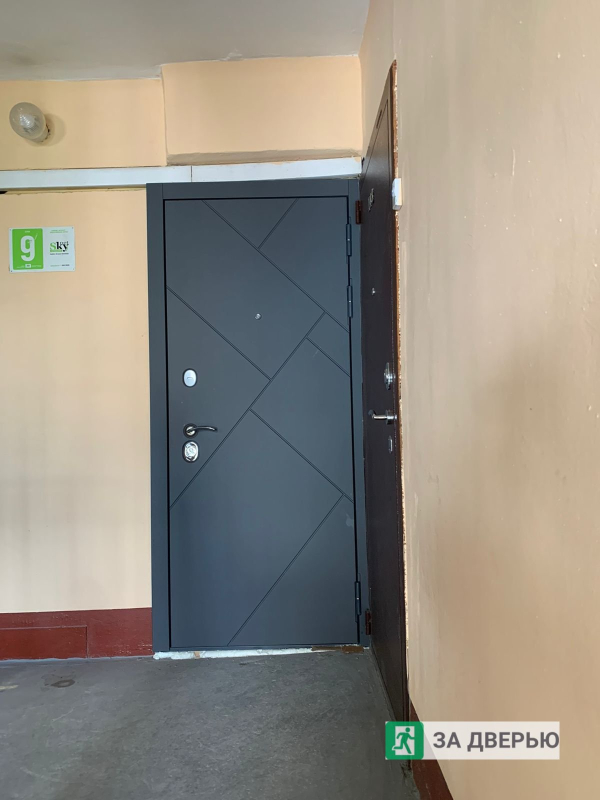 Двери в Выборгском районе - снаружи 2