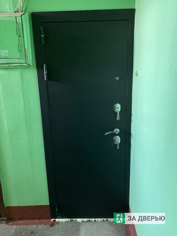 Двери в Невском районе - снаружи