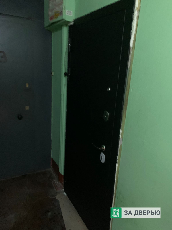 Двери в Кировском районе - снаружи