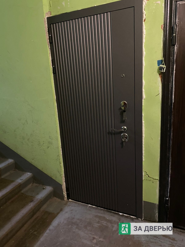 Двери в Приморском районе - снаружи