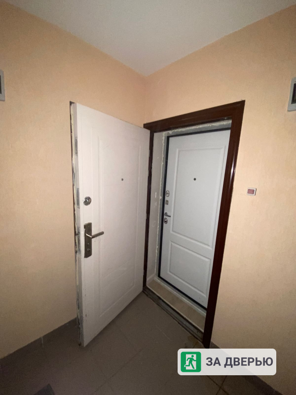 Дверь Феррони 7,5 серебро Велюр - 