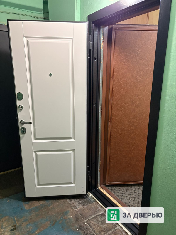 Дверь Феррони 7,5 серебро Велюр - 