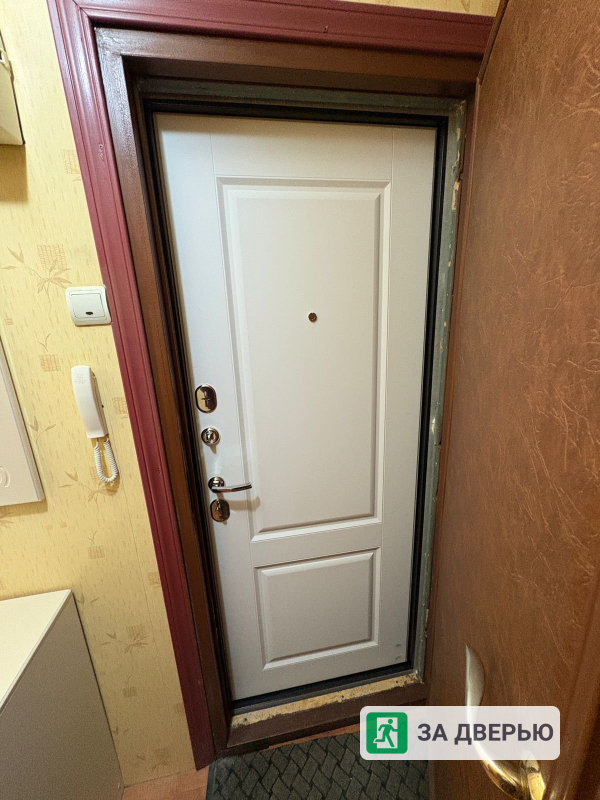 Дверь Феррони 7,5 серебро Велюр - 