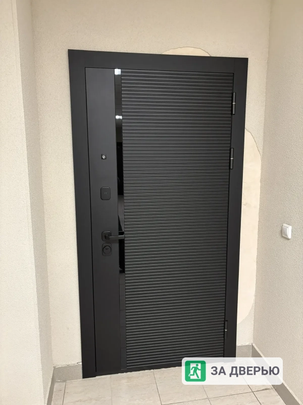 Двери в Мурино входные металлические - 