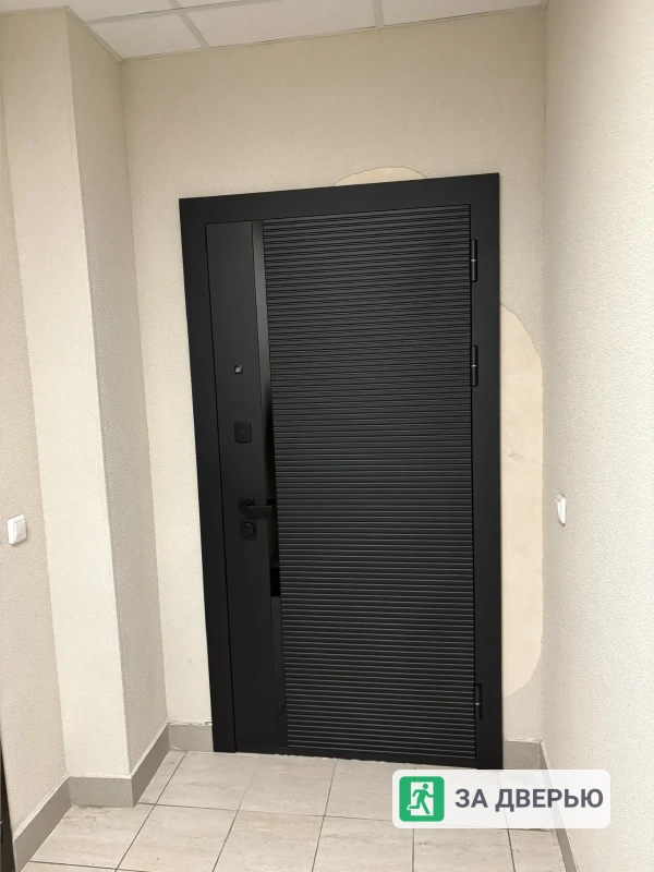 Двери в Мурино входные металлические - 