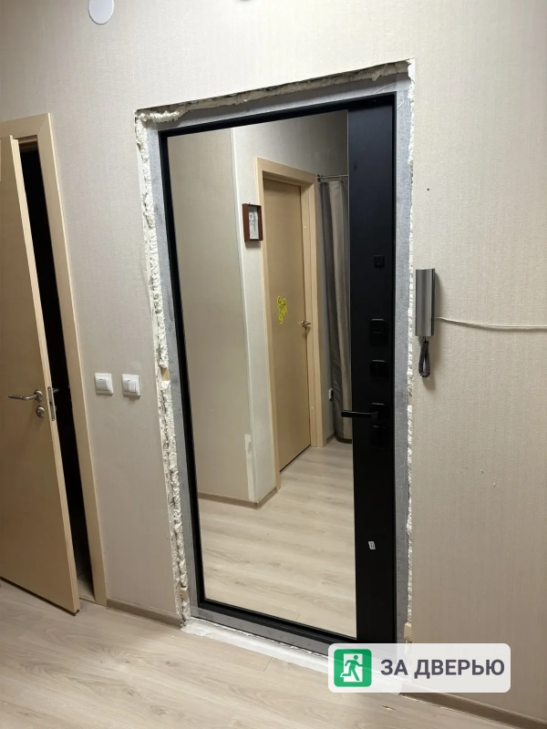 Двери в Мурино входные металлические - 