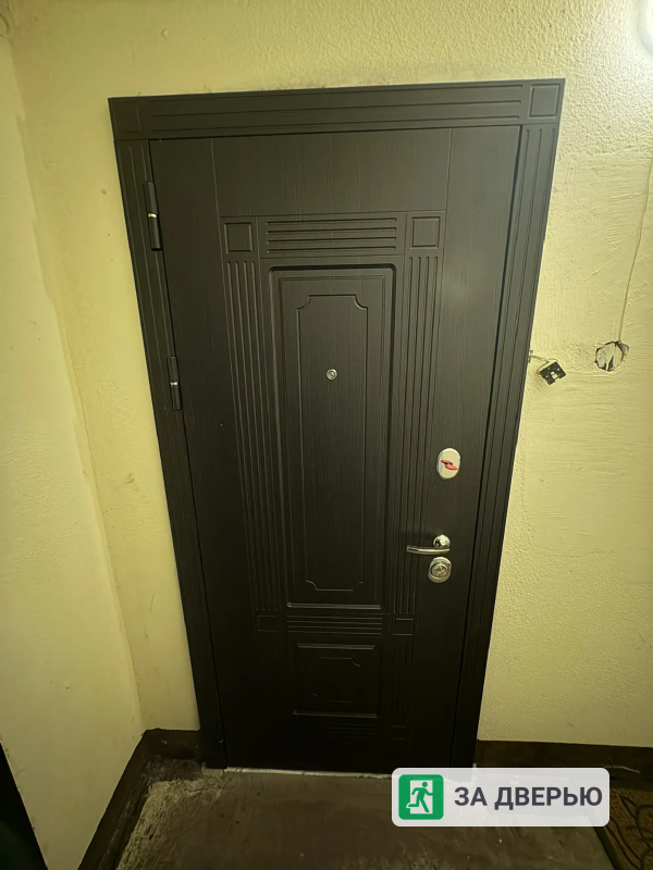 Металлические двери в Отрадное - 