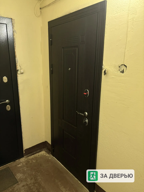 Металлические двери в Отрадное - 