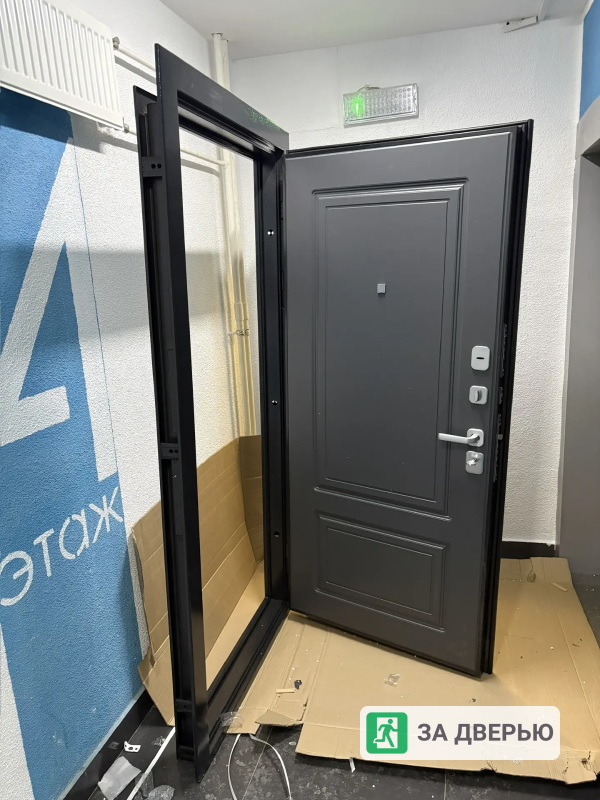 Двери в Мурино входные металлические - 