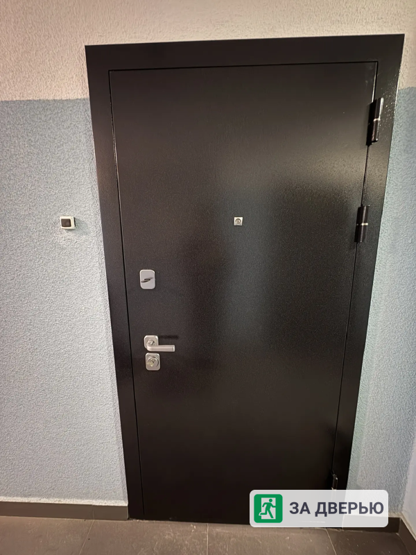 Двери в Мурино входные металлические - 