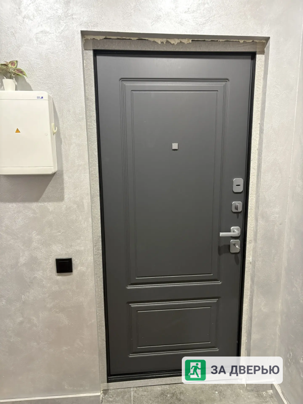 Двери в Мурино входные металлические - 