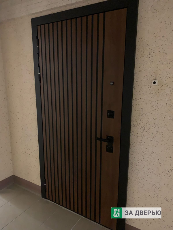 Двери в Красносельском районе - снаружи