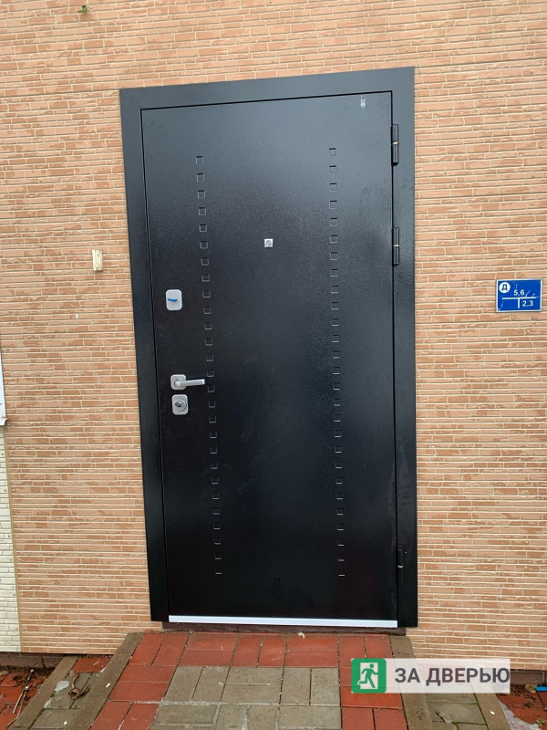 Металлические двери в Шушарах - снаружи