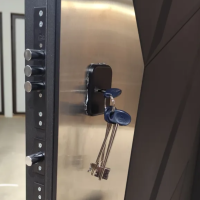 Броня Маэстро зеркало - Дверь Броня маэстро
